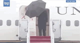 Nov-09-2020 21-52-27.gif