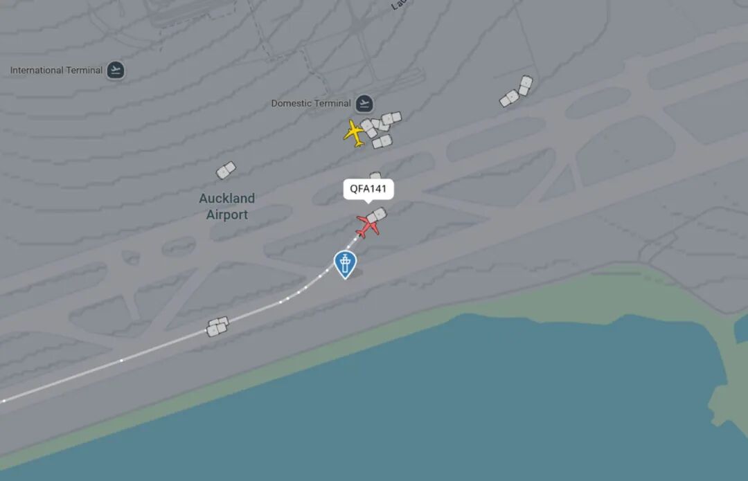 A Qantas flight was surrounded by rescue vehicles when it landed at Auckland International Airport this morning.