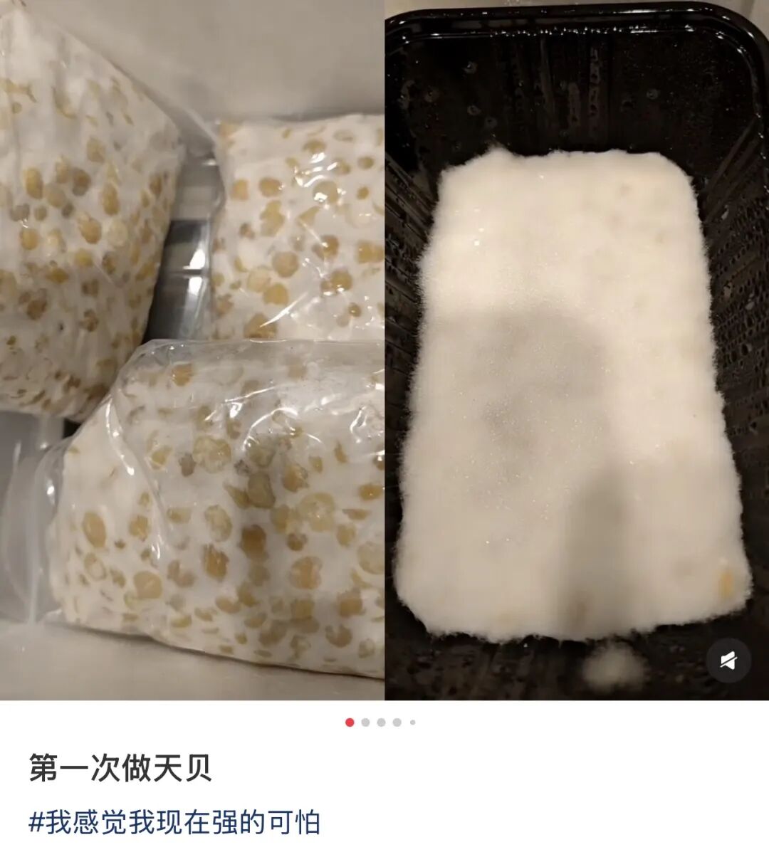 不想运动节食的人,开始靠“养菌”减肥了