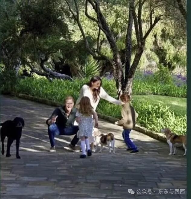 A close-up of one of the photos on Prince Harry and Meghan's 2025 Christmas card showing their dogs and children, Archie and Lilibet