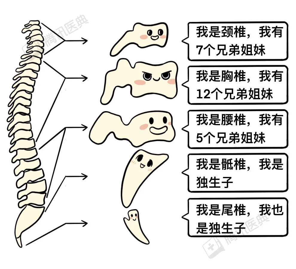什么病不致命,却能折磨3亿中国人?