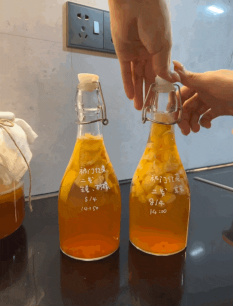 不想运动节食的人,开始靠“养菌”减肥了