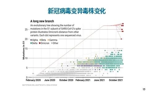 点击查看大图 图片