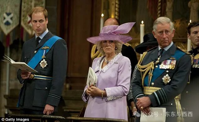 Stiff: William's relationship with Camilla could often be frosty