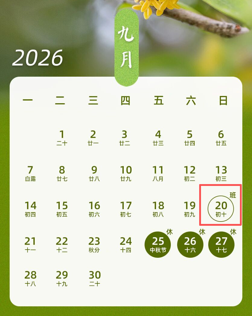 “上5休1上5休3上3休7上3休1”,冲上热搜