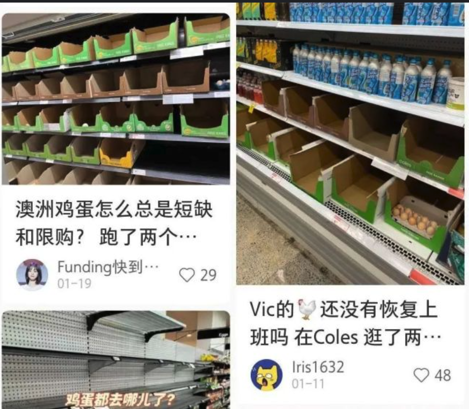 做好准备！墨尔本鸡蛋可能要吃不上了，价格也可能会飙升。政府紧急要求：养鸡场快把鸡关起来，别乱跑。