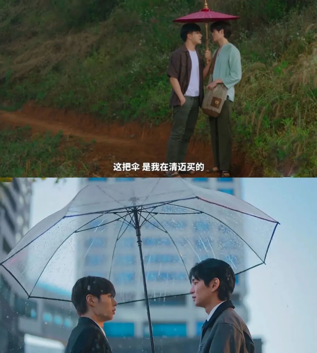 刘亦菲为啥要打这么一把伞?