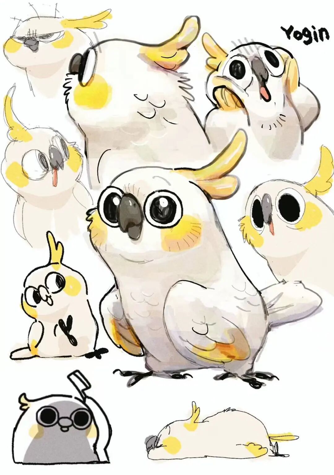 图片