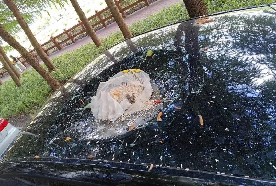 男子为泄愤将垃圾从17楼窗户抛下,砸穿SUV天窗,车损过万,事后向AI“请教”应对策略企图蒙混过关