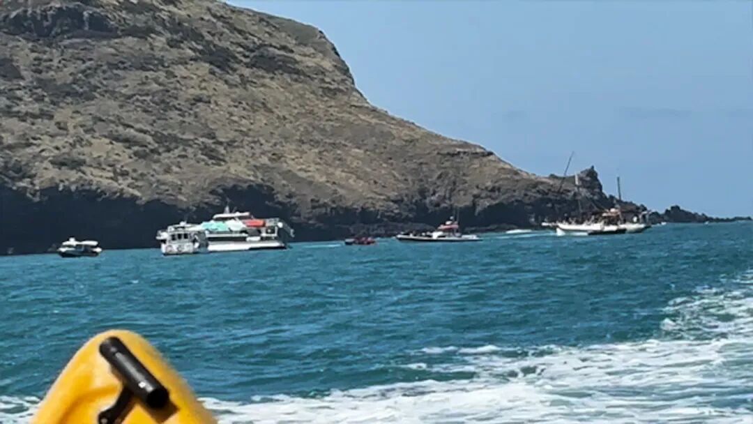 A fishing vessel crew who responded to a distress call says passengers were 'pretty frightened'. Photo / Supplied