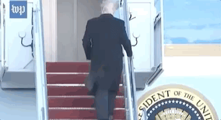 Nov-09-2020 21-50-18.gif