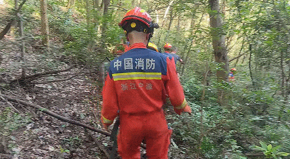 男子周末爬山迷路,向AI“问路”结果彻底迷失在山林深处,无奈拨打“119”求助