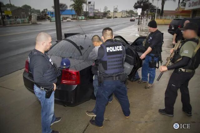 ICE rejects social media reports of immigration checkpoints in Van Nuys – Daily News