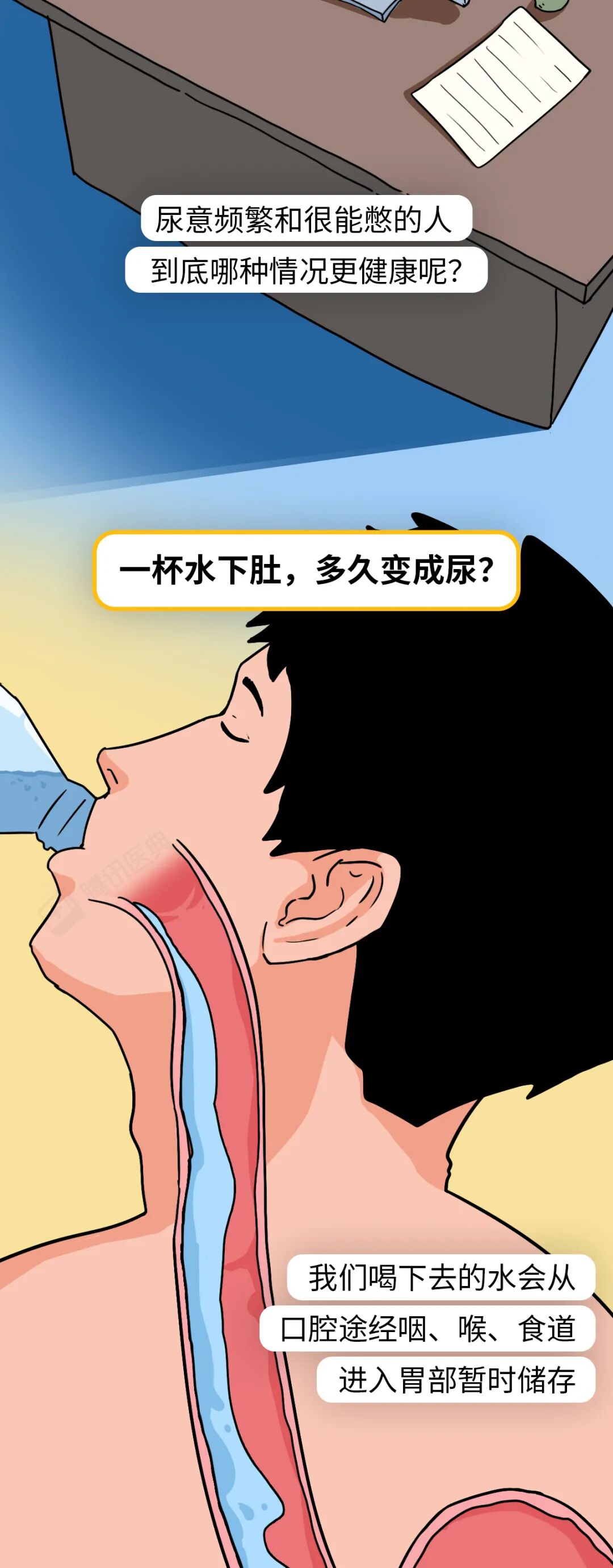 喝完水就上厕所和大半天不尿，哪种情况更需要警惕？