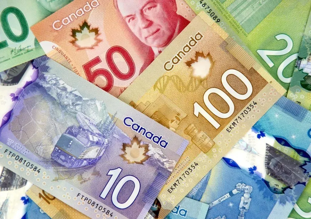 炸锅! 华人地产开发商被捕 受害者损失$349万 女经纪疑似逃回国!
