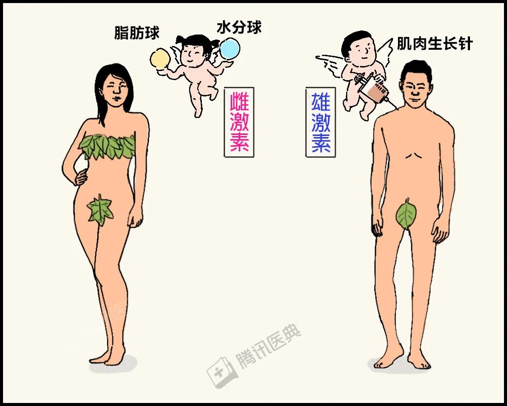 为什么很多“猛男”，却有一双性感的细腿？