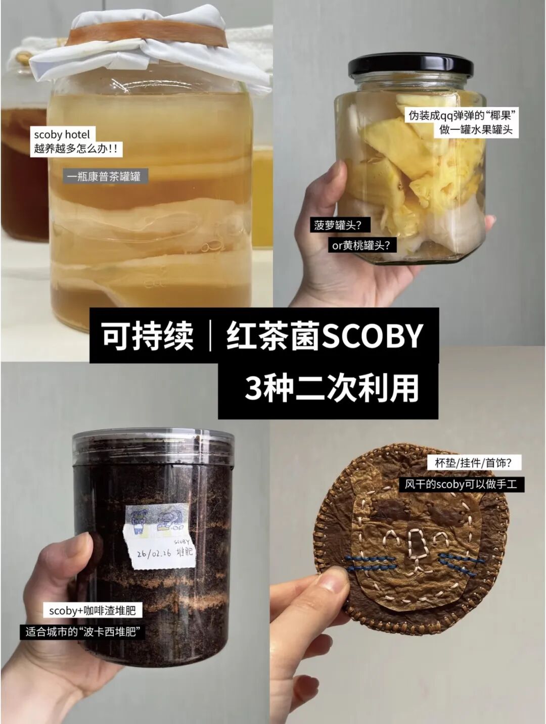 不想运动节食的人,开始靠“养菌”减肥了