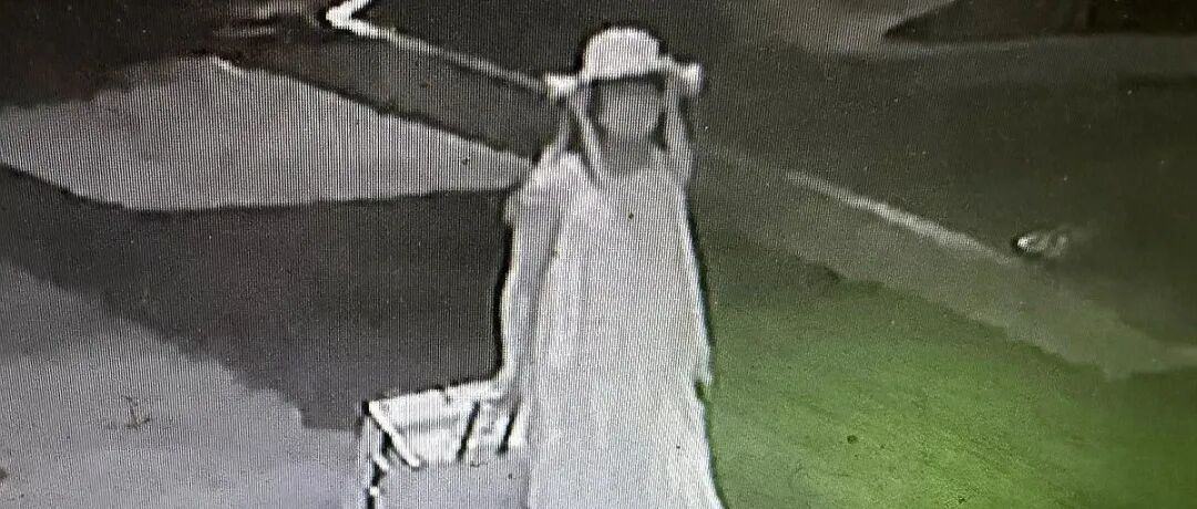 在韩中国女留学生遇害案嫌疑人个人信息或本周公开