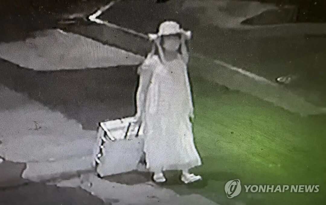 在韩中国女留学生遇害案嫌疑人个人信息或本周公开