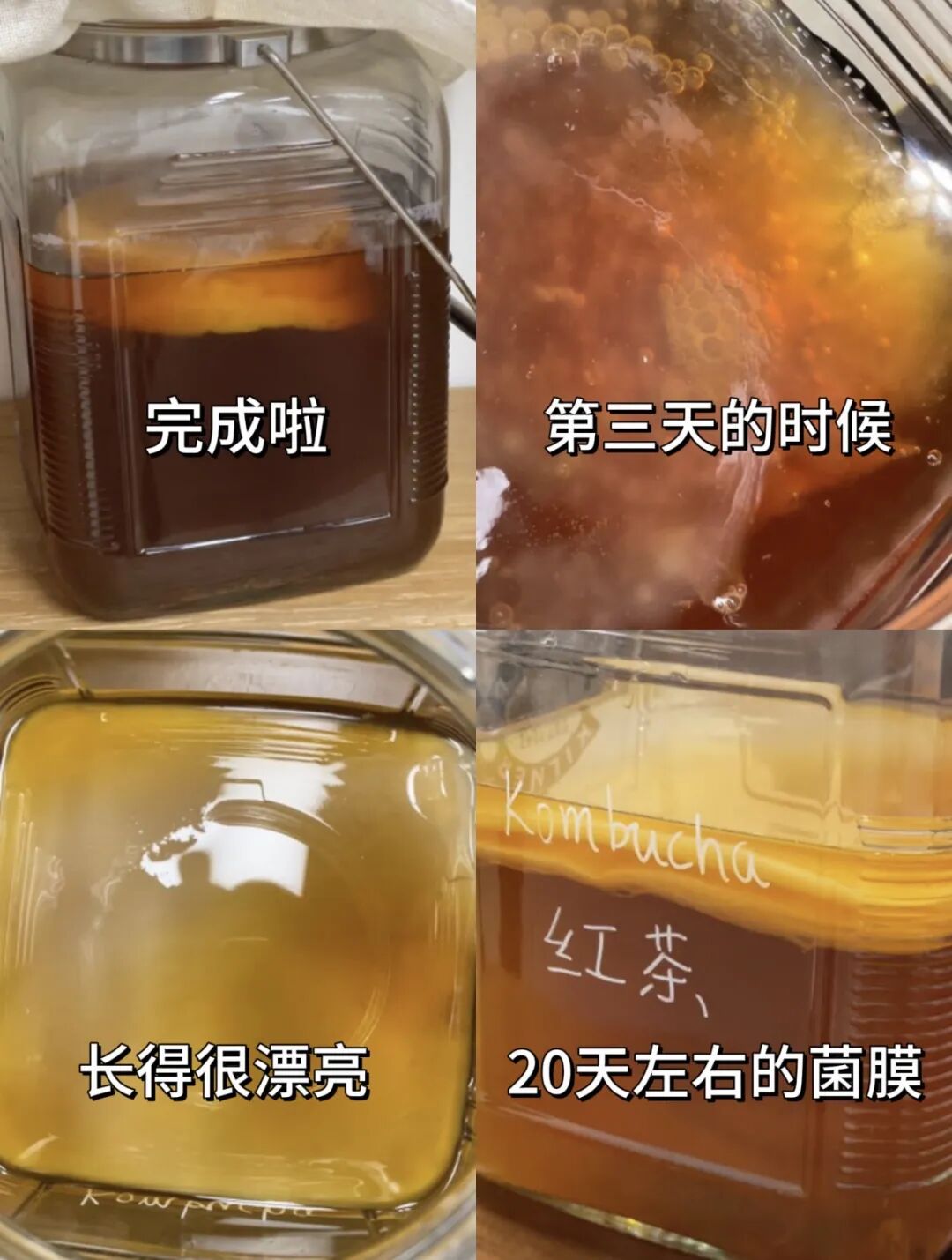 不想运动节食的人,开始靠“养菌”减肥了