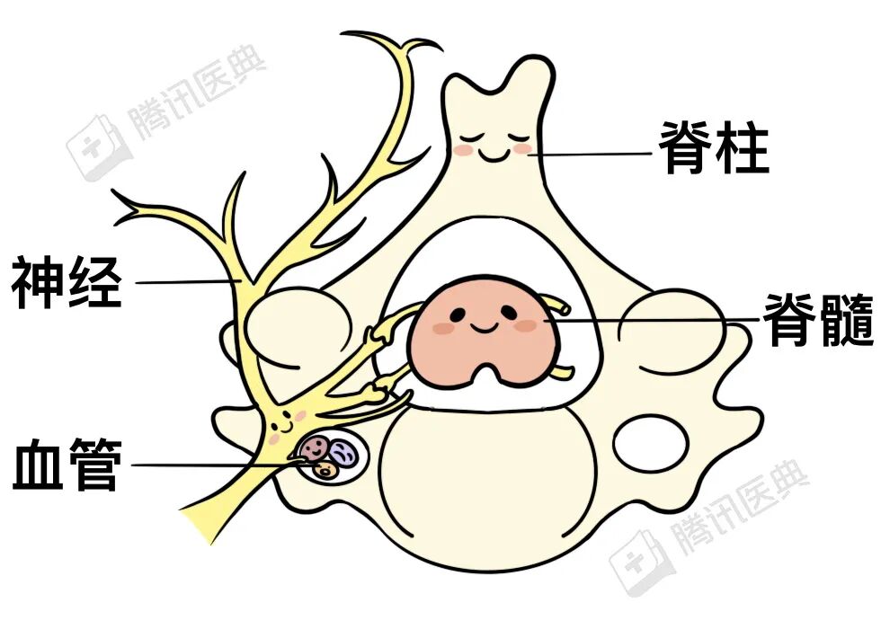 什么病不致命,却能折磨3亿中国人?