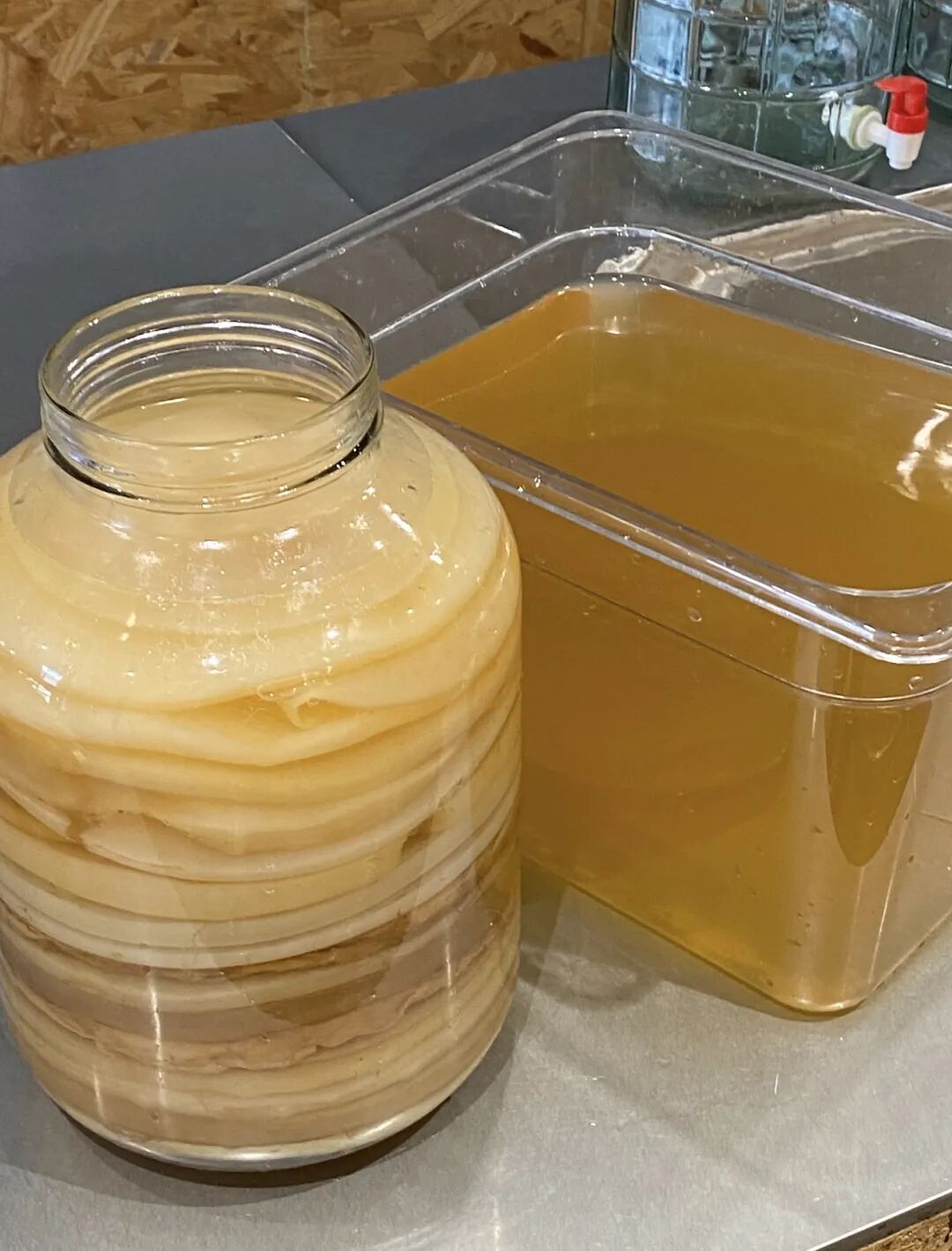 不想运动节食的人,开始靠“养菌”减肥了