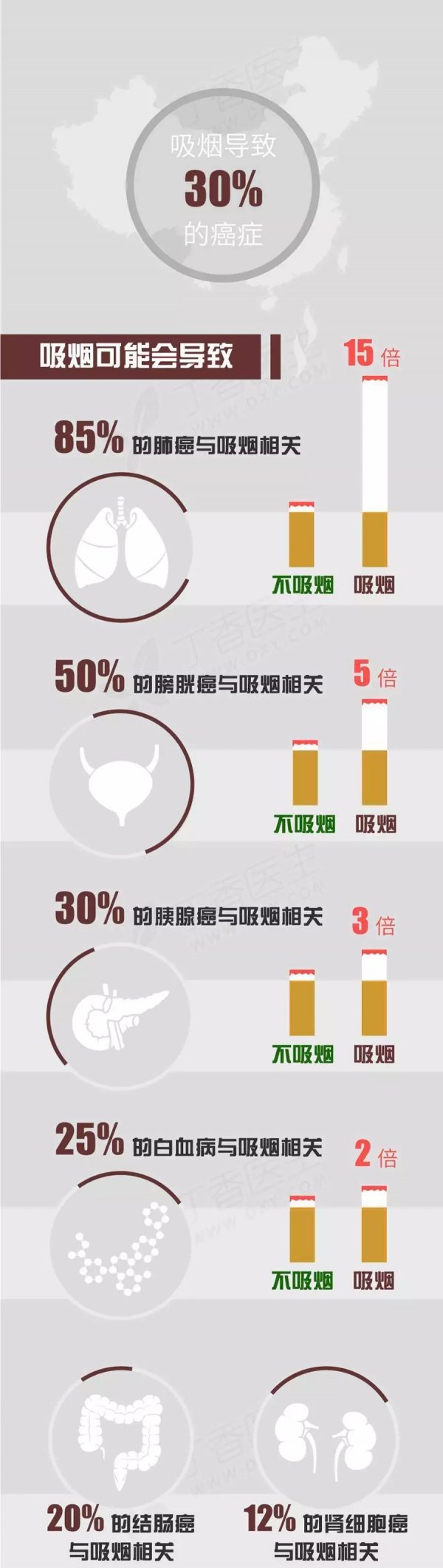 xiyanaizheng2.webp