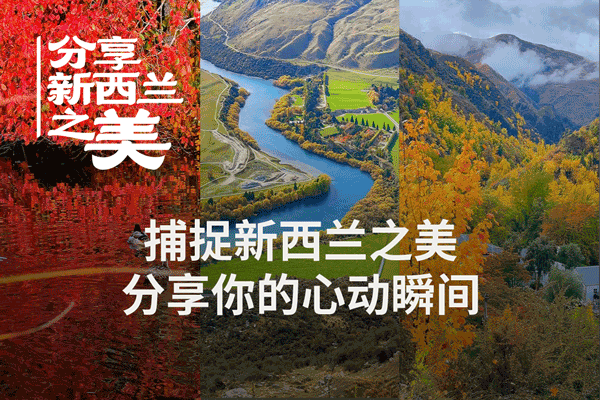 【视频·美图】分享新西兰之美