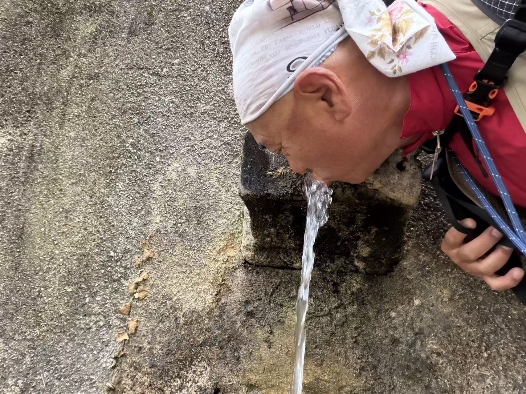 微信图片_20260804155936_81_12 | 资深旅游达人赵宇 | 朝圣之路葡线全程第十五天